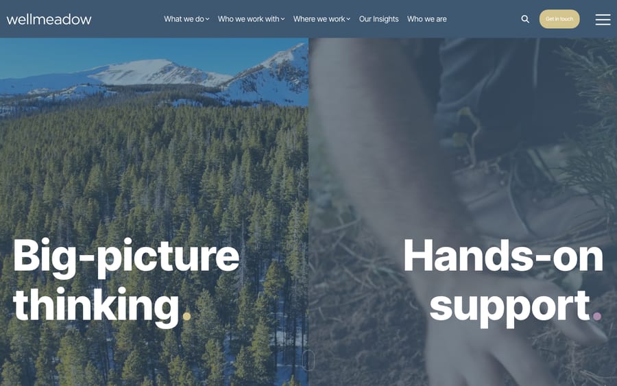 Wellmeadow's homepage, captured October 29, 2026
